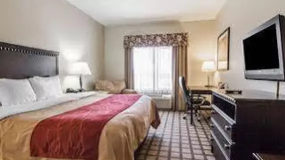 Quality Inn & Suites Montgomery | Alabama - Montgomery (ve civarı) - Montgomery