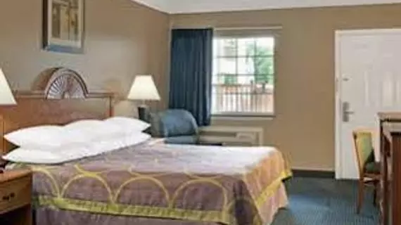 Super 8 Motel Montgomery | Teksas - Conroe (ve civarı) - Montgomery