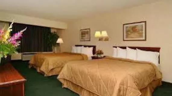 Comfort Inn Mountain Home | Arkansas - Mountain Home (ve civarı) - Mountain Home