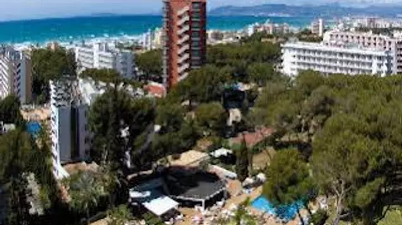 Hotel Riu Playa Park | Balearic Adaları - Mayorka Adası - Campos - Migjorn