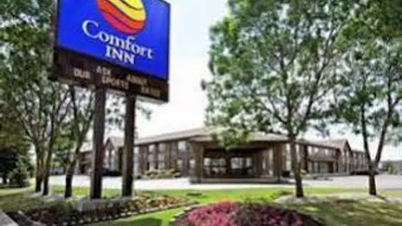 Comfort Inn Winnipeg Airport | Manitoba - Winnipeg (ve civarı) - Winnipeg