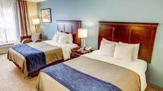 Comfort Inn Lake Charles | Louisiana - Lake Charles (ve civarı) - Lake Charles