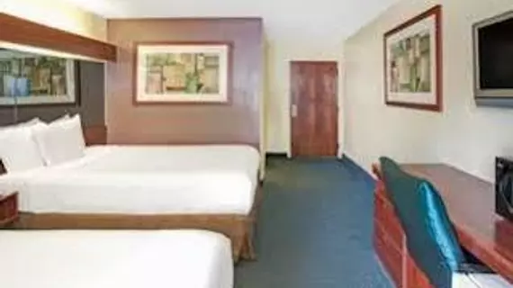 Microtel Inn & Suites by Wyndham Atlanta Airport | Georgia - Atlanta (ve civarı) - College Park