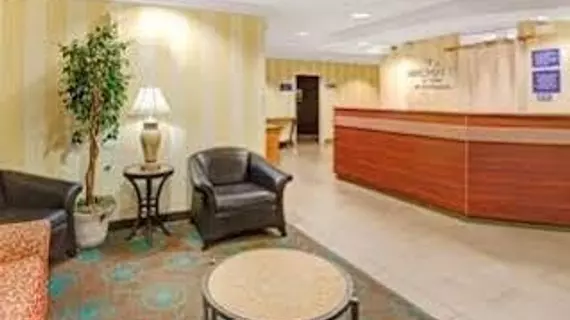 Microtel Inn & Suites by Wyndham Atlanta Airport | Georgia - Atlanta (ve civarı) - College Park