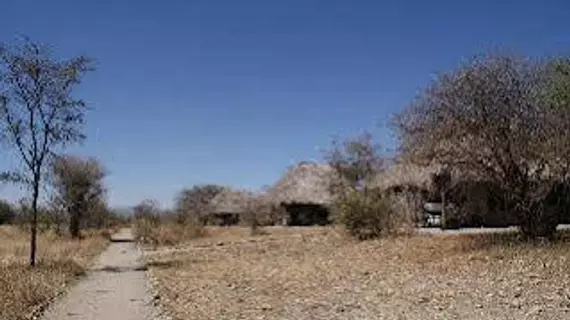 Whistling Thorn Camp | Manyara Bölgesi - Tarangire Ulusal Parkı