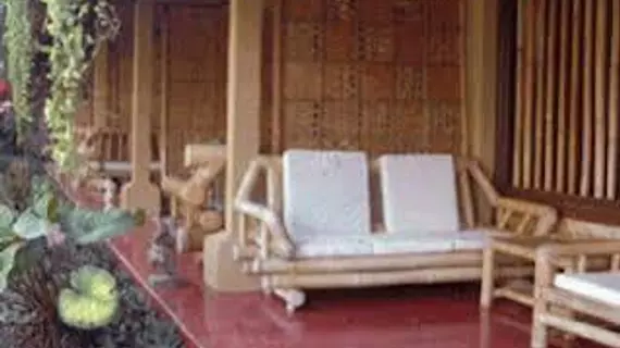 Jati Homestay | Bali - Ubud - Ubud Kent Merkezi