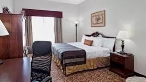 Wingate by Wyndham Atlanta Galleria | Georgia - Atlanta (ve civarı) - Atlanta - Cumberland