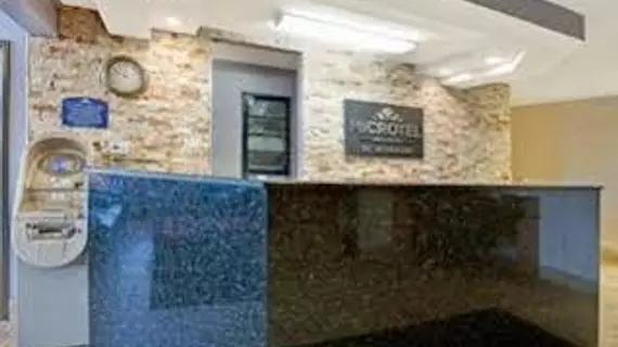 Microtel Inn & Suites by Wyndham Detroit Roseville | Michigan - Detroit (ve civarı) - Roseville