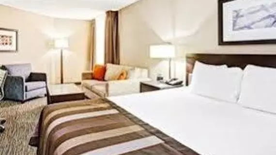 Wingate by Wyndham Los Angeles Airport | Kaliforniya - Los Angeles County - Los Angeles - LAX Bölgesi