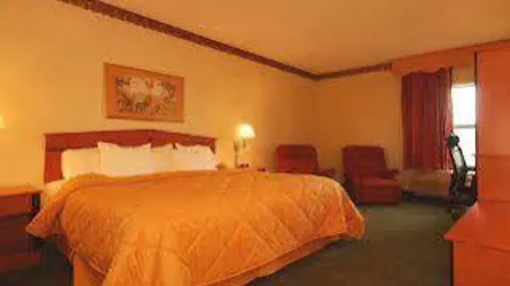 Comfort Inn Ottawa | Kansas - Emporia (ve civarı) - Ottawa