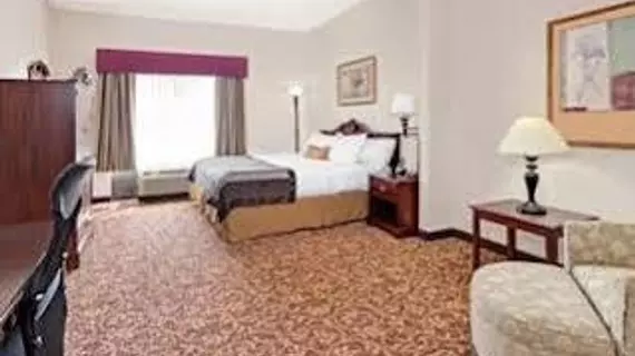 Wingate by Wyndham Atlanta Galleria | Georgia - Atlanta (ve civarı) - Atlanta - Cumberland