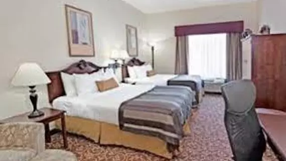 Wingate by Wyndham Atlanta Galleria | Georgia - Atlanta (ve civarı) - Atlanta - Cumberland