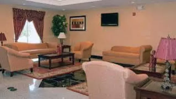 Comfort Suites Indianapolis Airport | Indiana - Indianapolis (ve civarı) - Indianapolis