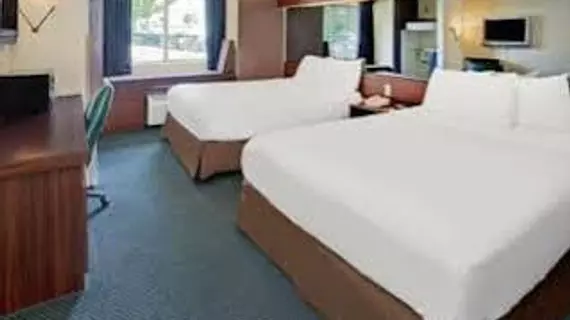 Microtel Inn & Suites by Wyndham Atlanta Airport | Georgia - Atlanta (ve civarı) - College Park