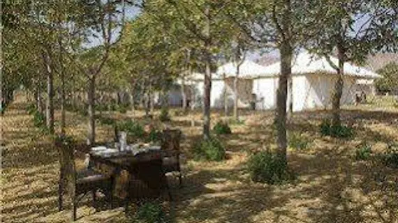 The Greenhouse Resort | Racastan - Ajmer (ve civarı) - Ajmer - Pushkar