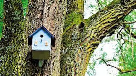 Relais du Silence La Vieille Etable | Nouvelle-Aquitaine - Charente - Roullet-Saint-Estephe