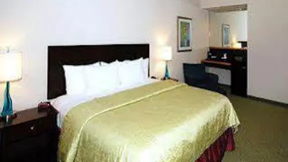 Clarion Grand Boutique Hotel | Louisiana - New Orleans (ve civarı) - New Orleans - Central City bölgesi