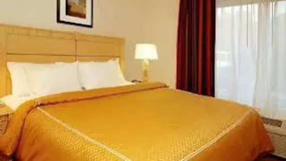 Comfort Suites Fultondale | Alabama - Birmingham (ve civarı) - Fultondale