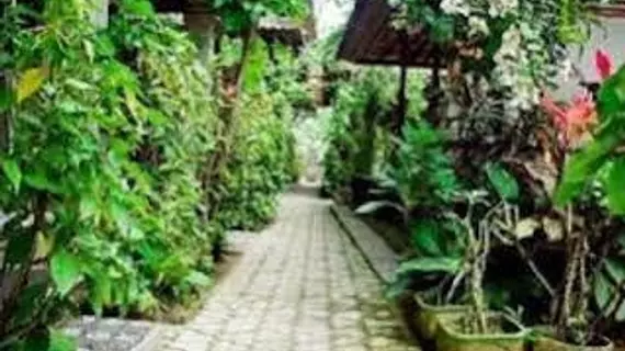 Pondok Bulan Mas | Bali - Ubud - Petulu