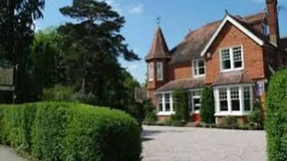 The Lawn Guest House | Surrey (kontluk) - Horley