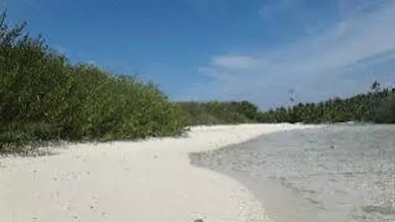 Variety Stay Guesthouse | Maldivler - Kaafu Atoll - Thulusdhoo Adası