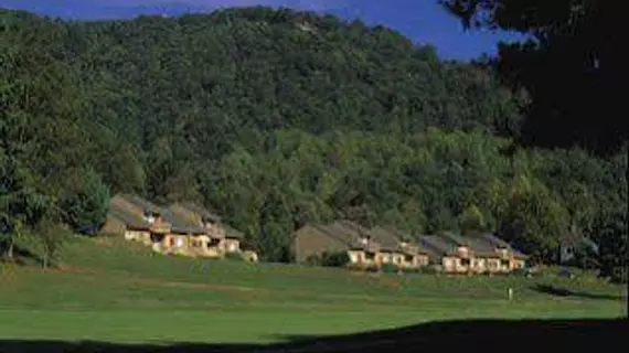 Wyndham Resort at Fairfield Bay | Arkansas - Clinton (ve civarı) - Fairfield Bay