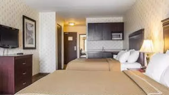 Comfort Inn & Suites Saint-Nicolas | Quebec - Quebec (ve civarı) - Levis - Saint-Nicolas