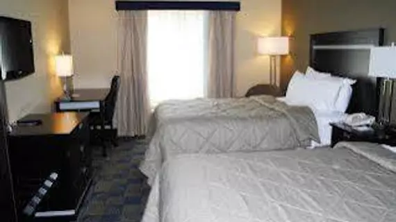 Holiday Inn Express and Suites Albany Airport- Wolf Road | New York - Albany (ve civarı) - Albany