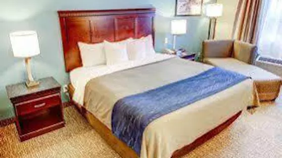 Comfort Inn Lake Charles | Louisiana - Lake Charles (ve civarı) - Lake Charles