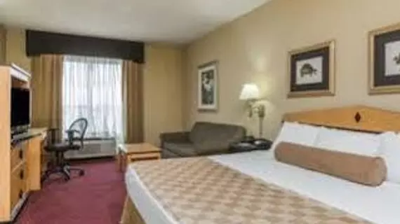 Stay Express Inn & Suites New Orleans | Louisiana - New Orleans (ve civarı) - New Orleans