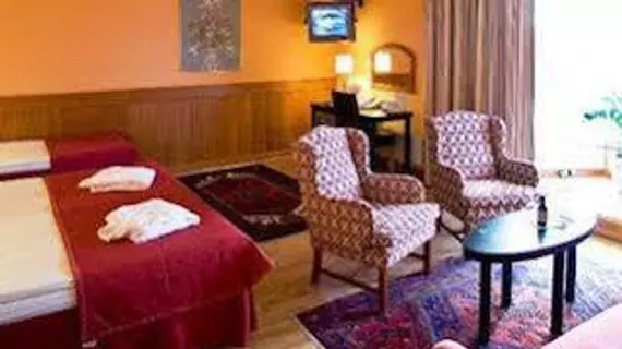 Best Western Gustaf Wasa | Dalarna İlçesi - Borlange