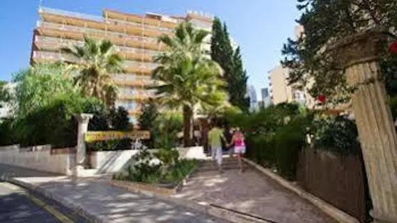 Hotel Gala Placidia | Valencia Bölgesi - Alicante (vilayet) - Marina Baja - Benidorm