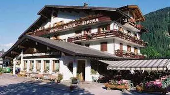 Hotel Stella Alpina | Veneto - Belluno (vilayet) - Falcade