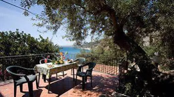 Villa degli Ulivi | Sicilya - Messina (vilayet) - Taormina Sahili - Taormina