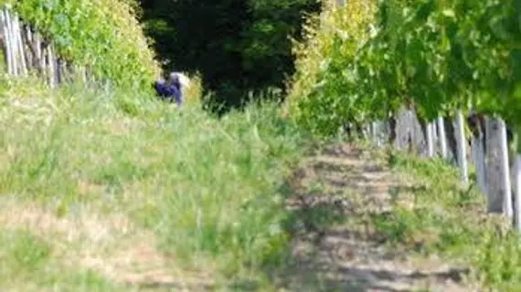 Casa Nicolini Albergo Ristorante | Piedmont - Cuneo (il) - Barbaresco