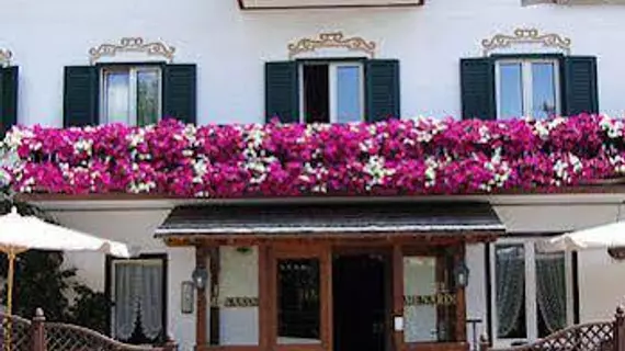 Hotel Menardi | Veneto - Belluno (vilayet) - Cortina d'Ampezzo