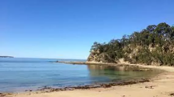 Pleasurelea Tourist Resort and Caravan Park | New South Wales - Batemans Bay (ve civarı) - Sunshine Bay