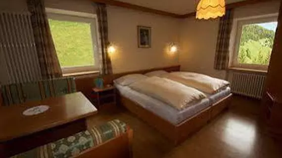 Hotel Genziana | Veneto - Belluno (vilayet) - Livinallongo del Col di Lana - Arabba