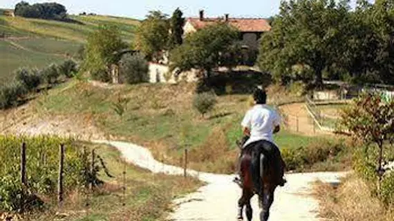 Le Crete Azienda Agraria Agriturismo | Toskana - Siena (vilayet) - Trequanda