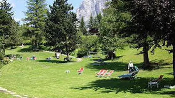 Hotel Menardi | Veneto - Belluno (vilayet) - Cortina d'Ampezzo