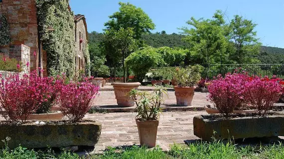 Le Crete Azienda Agraria Agriturismo | Toskana - Siena (vilayet) - Trequanda