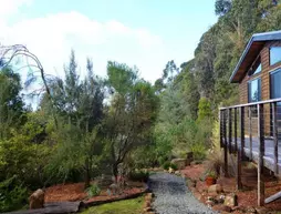 Southern Forest Accommodation | Tazmanya - Southport