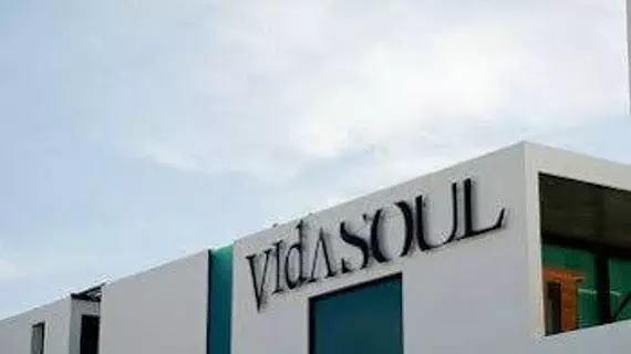 Vidasoul | Baja California Sur - Los Cabos - East Cape (ve civarı) - Vinorama