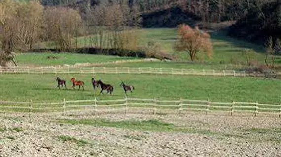 Le Crete Azienda Agraria Agriturismo | Toskana - Siena (vilayet) - Trequanda