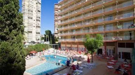 Hotel Gala Placidia | Valencia Bölgesi - Alicante (vilayet) - Marina Baja - Benidorm