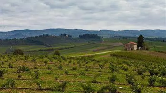 Agriturismo Casale Dello Sparviero | Toskana - Siena (vilayet) - Castellina in Chianti