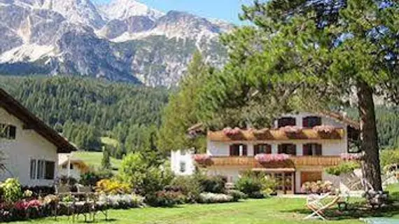 Hotel Menardi | Veneto - Belluno (vilayet) - Cortina d'Ampezzo