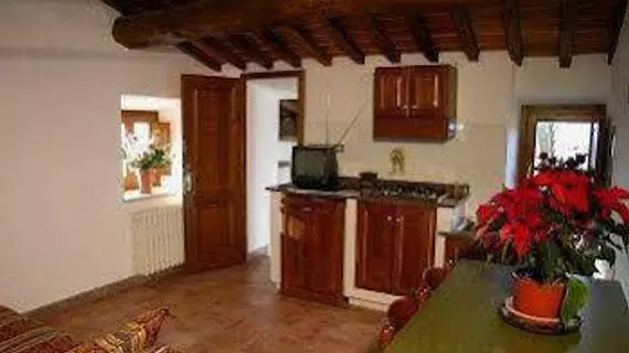 Agriturismo Ca' Lucano | Toskana - Arezzo (vilayet) - Arezzo