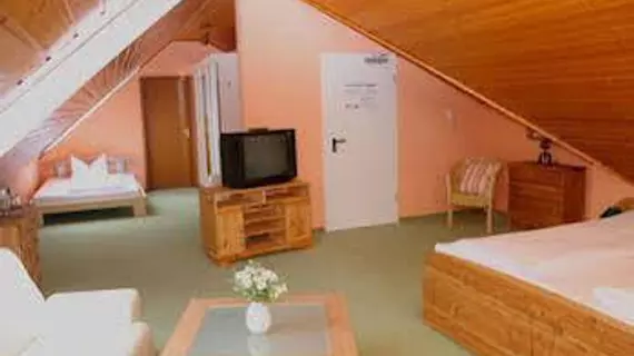 Hotel Schneider | Kuzey Ren-Westfalia - Hochsauerlandkreis - Winterberg