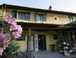 Alpaca Country House | Toskana - Pisa (vilayet) - Pontedera